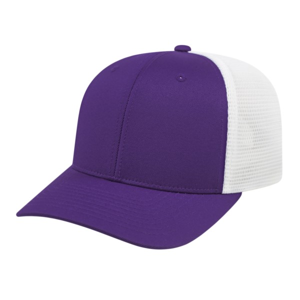 BG1585C Blue Generation PURPLE/WHITE