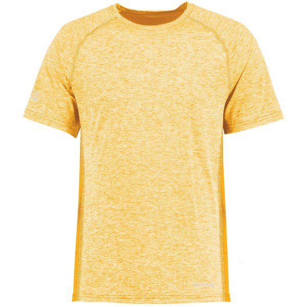 222671 Holloway Gold Heather