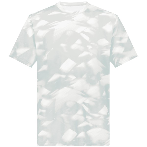 222696 Holloway SILVER GLACIER PRINT