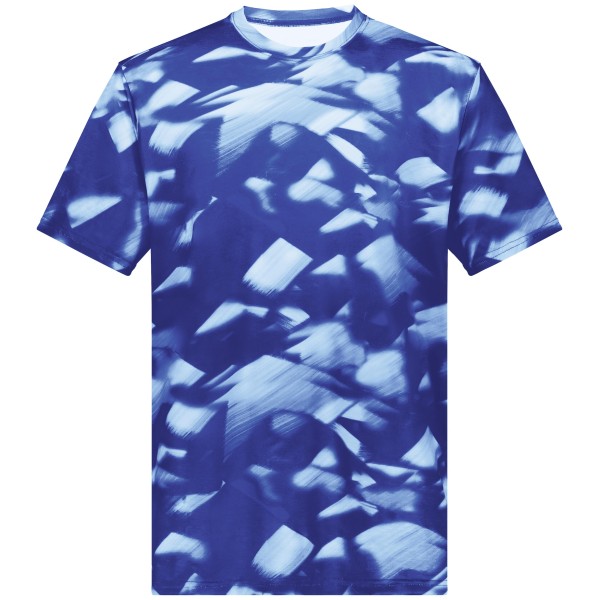 222696 Holloway ROYAL GLACIER PRINT