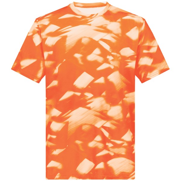 222696 Holloway ORANGE GLACIER PRINT