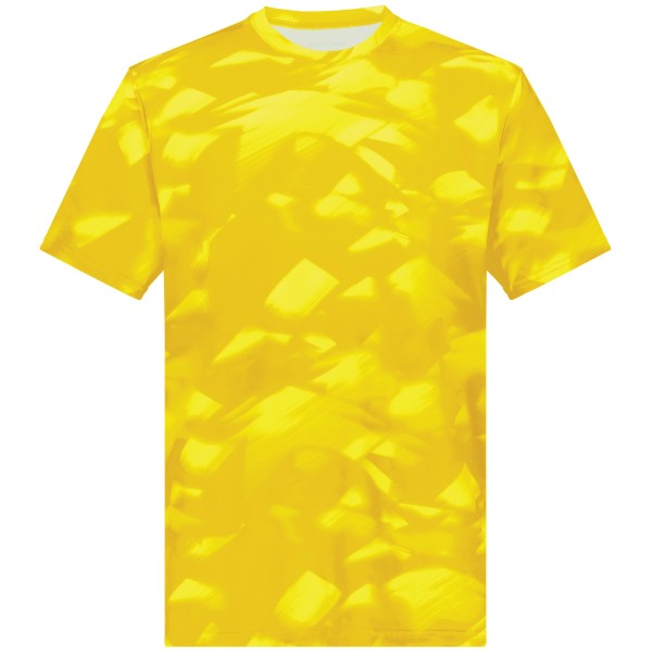 222696 Holloway GOLD GLACIER PRINT