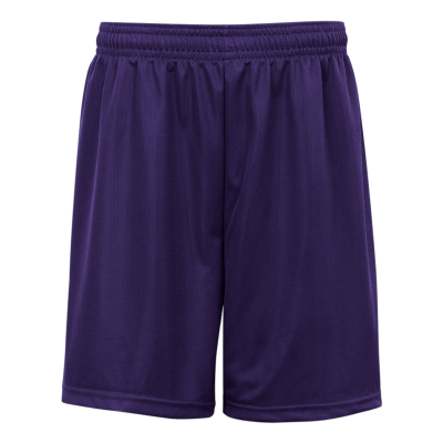 Badger 723900 PURPLE (BA)